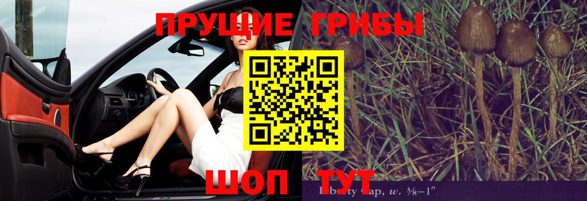 Псилоцибиновые грибы мицелий Кызыл